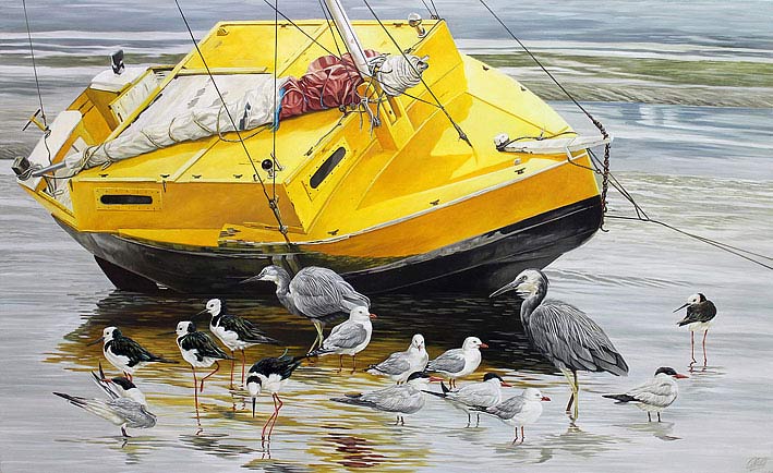 Craig Platt nz native bird artist, Tuna boat, Heron, Pied Stilt